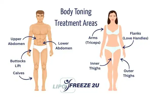 Graphic showing where you can have Body toning Treatment Romford on your body